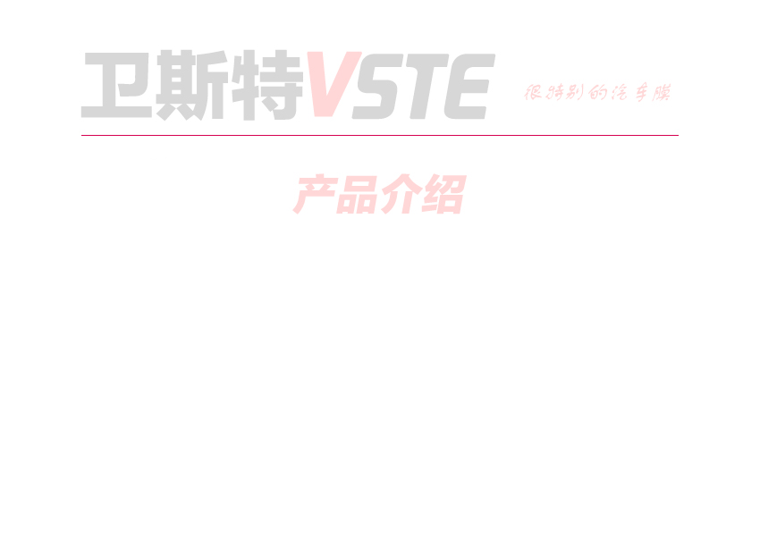卫斯特G10(图1)